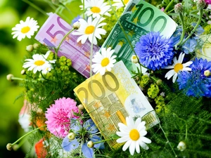 money, bouquet, flowers