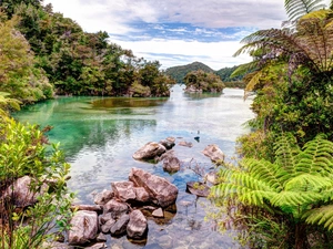 Mountains, woods, Stones, fern, River