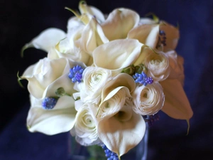 Muscari, Calla, roses