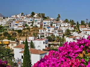 Nerja, Villas, Bougainvillea, Palms, Blossoming, Del Sol, Costa, cypresses
