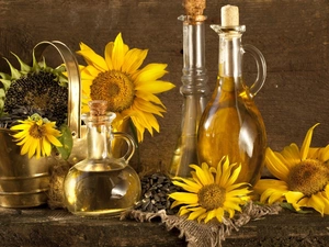 Flowers, Bottles, oil, sunflower