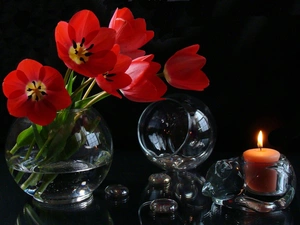 Tulips, decoration, Orb, candle, Glass, Red