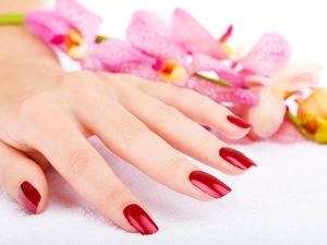 hand, manicure, orchids, Womens