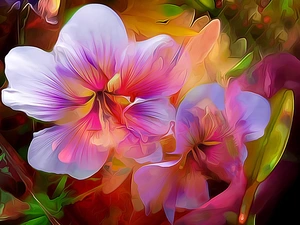 Paintography, hibiskus