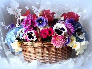 pansies, dahlias, Colorful, flowers, bouquet