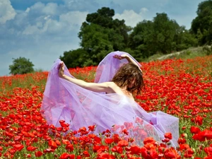 papavers, Women, Meadow