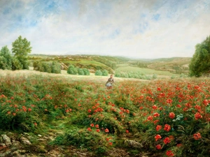 papavers, Meadow, Women