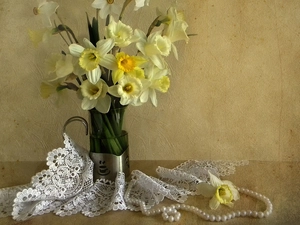 Pearl, lace, Yellow, Daffodils, Vase