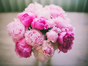 bouquet, Pink, Peonies, Flowers