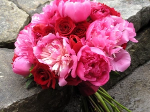 peony, bouquet, pink