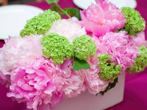 peony, bouquet, pink