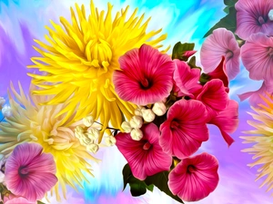 Flowers, chrysanthemum, graphics, petunia