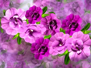 graphics, petunias, Colorful Background, Flowers