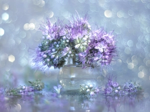 Lacy Phacelia, vase, Bokeh, Flowers