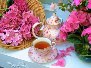 Pink, hydrangea, tea, jug, cup