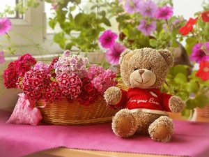 Flowers, Sweet William, Plush, toy, teddy bear
