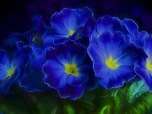 Blue, primroses, 2D Graphics, Flowers