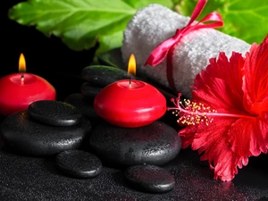 Red, Candles, Towel, Colourfull Flowers, Stones, relaxation, Spa, hibiskus