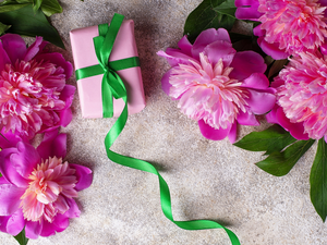 Leaf, Present, background, Green, Grey, Peonies, Pink, ribbon