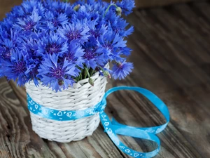 basket, ribbon, Blue, cornflowers, Flowers
