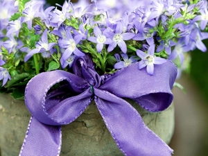 bouquet, flowers, ribbon, Blue