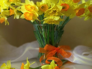 ribbon, bowl, narcissus