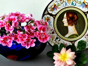 plate, rose, geraniums, decorated, composition