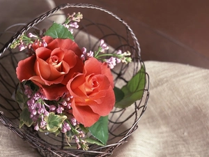 roses, Metal, basket