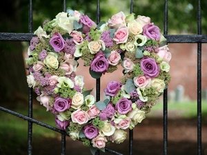 Heart teddybear, color, roses