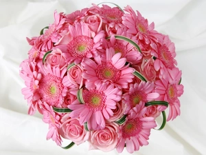 bouquet, Gerbers, rouge, pink