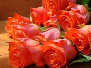 rouge, bouquet, orange