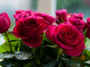 rouge, bouquet, red