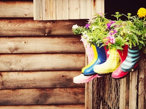 wellingtons, color, Tagetes, Rubber, shoes, verbena, boarding