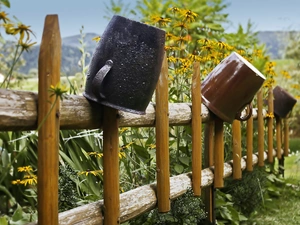 clay, wooden, Flowers, Rudbekie, pots, Fance