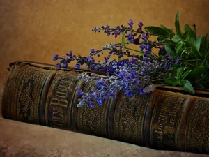 Flowers, Sage, Bible, Blue, Book