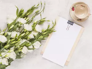 Eustoma, Flowers, cup, saucer, note-book, White