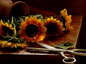 scissors, bouquet, sunflowers