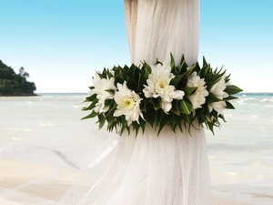 sea, White, Flowers