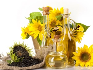 seeds, composition, Nice sunflowers, oil, gold