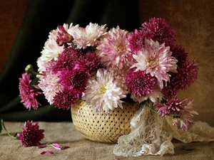 basket, chrysanthemums, shawl, bouquet