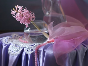 shawl, bowl, hyacinth, lace, Pink