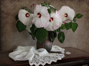 table, White, hibiscus, shawl