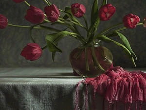 shawl, claret, Tulips