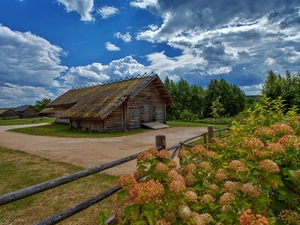 hydrangeas, Sky, Sheds, clouds