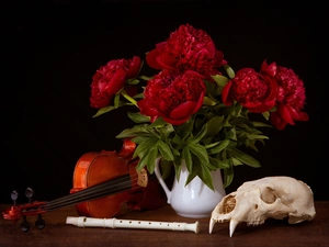 skull, compositions, Peonies, violin, Flowers