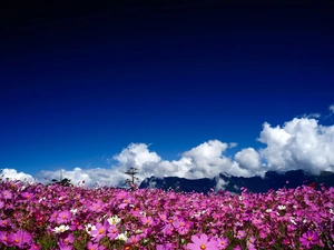 Sky, Cosmos, clouds