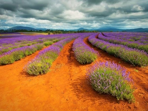 lavender, clouds, Sky, Sand