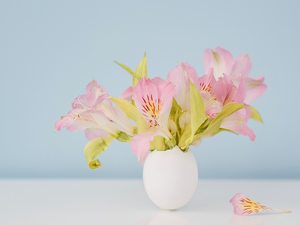 Pink, small bunch, vase, Alstroemeria