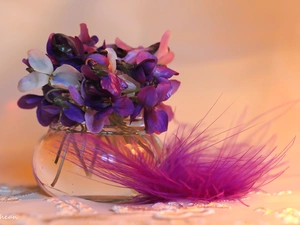 feather, fragrant violets, small bunch