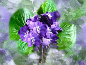 fragrant violets, graphics, small bunch, violets, Flowers